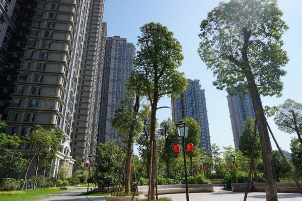 西雅图,钟林里321-330号 - 厦门西雅图二手房,租房,房价-厦门安居客