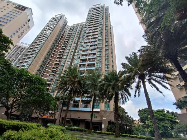 深圳福田新洲绿景花园(二期)绿景花园二期48平大空间电梯空中花园出租