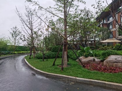 绿地御山台别墅