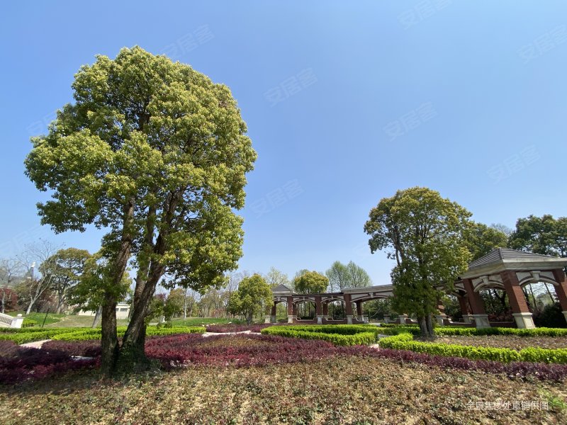 唐顿庄园,绿地香奈(别墅)二手房,319万,5室3厅,5卫,200平米-常州安居