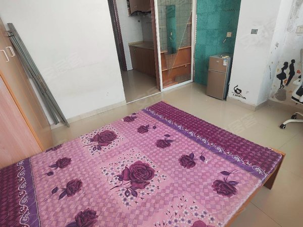 性价比超高 新枫公馆精装单身公寓直租 无中介费可付一 包物业