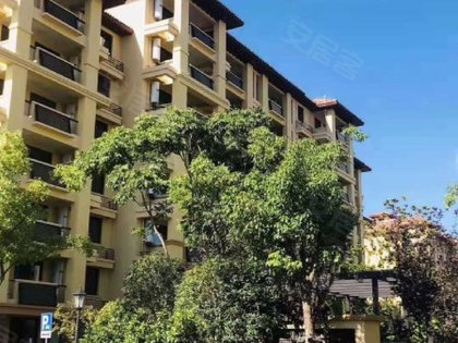 华发象屿光星华府,大塔路699弄 - 上海华发象屿光星华府二手房,租房