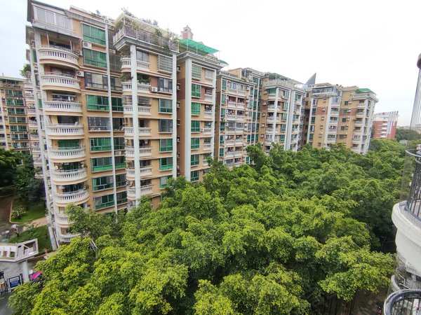 广州白云京溪云景花园云枫苑居家推荐来咯 云景花园大三房115平 南北