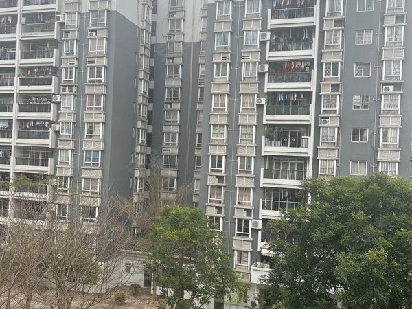 【多图】风采雅苑,聚龙租房,风采雅苑南北对流精装温馨三房两卫出租