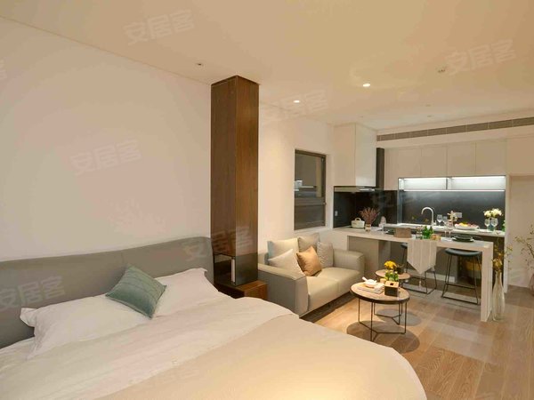 洛阳涧西牡丹广场澜京公馆广州市场 牡丹广场 地铁口 精装一室 拎包