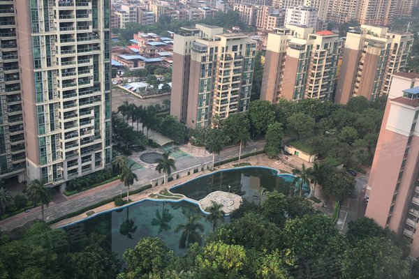 清远二手房 金碧湾花园 > 向国健解读金碧湾花园小区不足专家解读