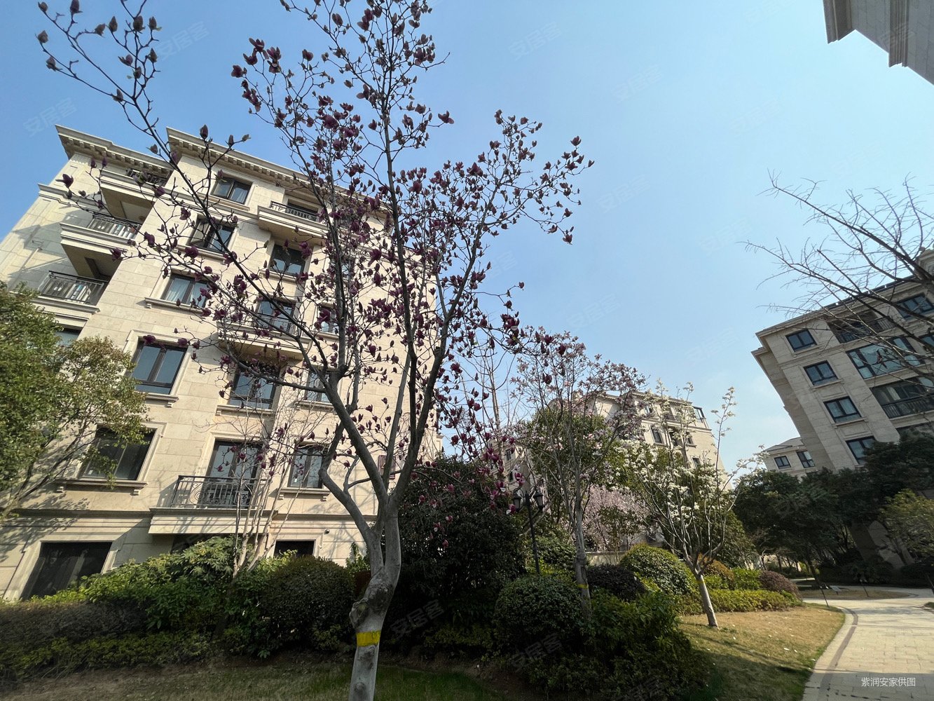 东方润园(别墅)二手房,1400万,6室2厅,5卫,475平米-徐州安居客