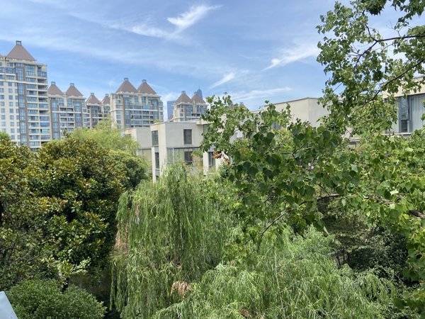 苏州工业园双湖水巷邻里花园晋合水巷邻里朝南横厅大一房 洋房4层环境