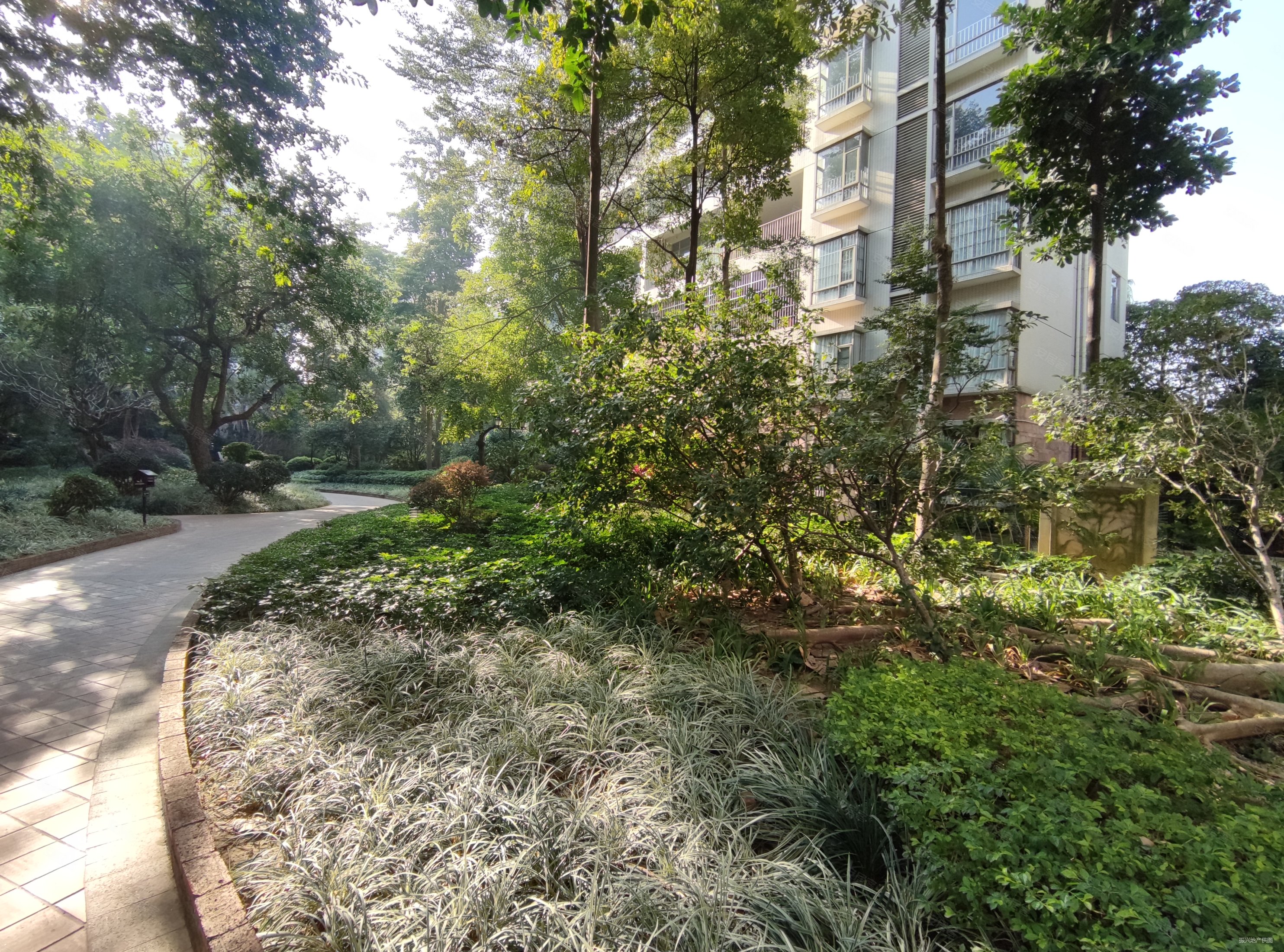 小榄阳光美加大三房保养好满五