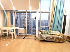 苏州吴中郭巷尹山湖 复试一室一厅 客卧分离出租房源真实图片