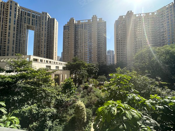 广州荔湾广钢新城珠江金茂府网红小区,业主诚心出租,可短租,可直播,可