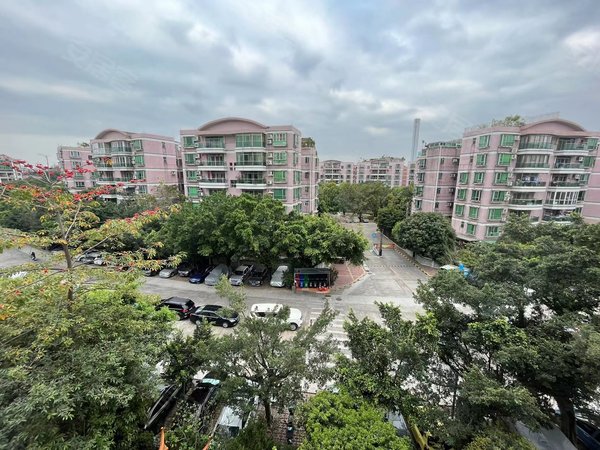 广州番禺南浦广州碧桂园广州碧桂园 房主已收拾干净随时拎包入住 配套