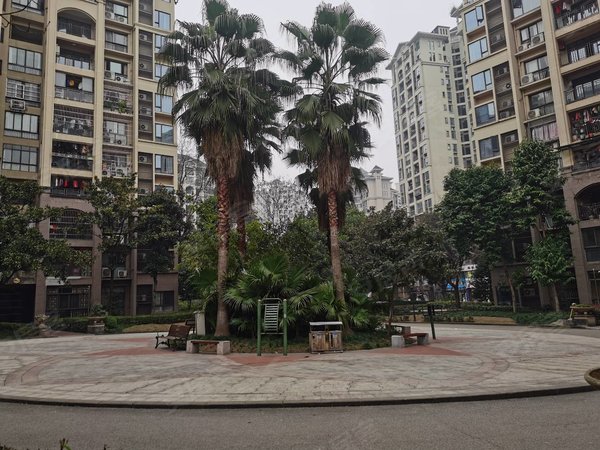 重庆渝北回兴南方玫瑰城橙瑰苑渝北区回兴玫瑰城 精装二房 拧包入住