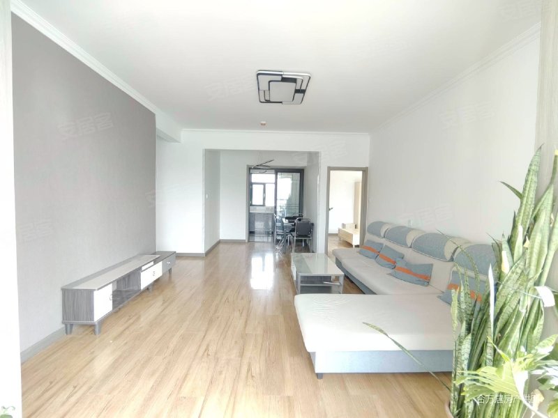 新乐西区 电梯房 精装修 拎包入住 可按揭