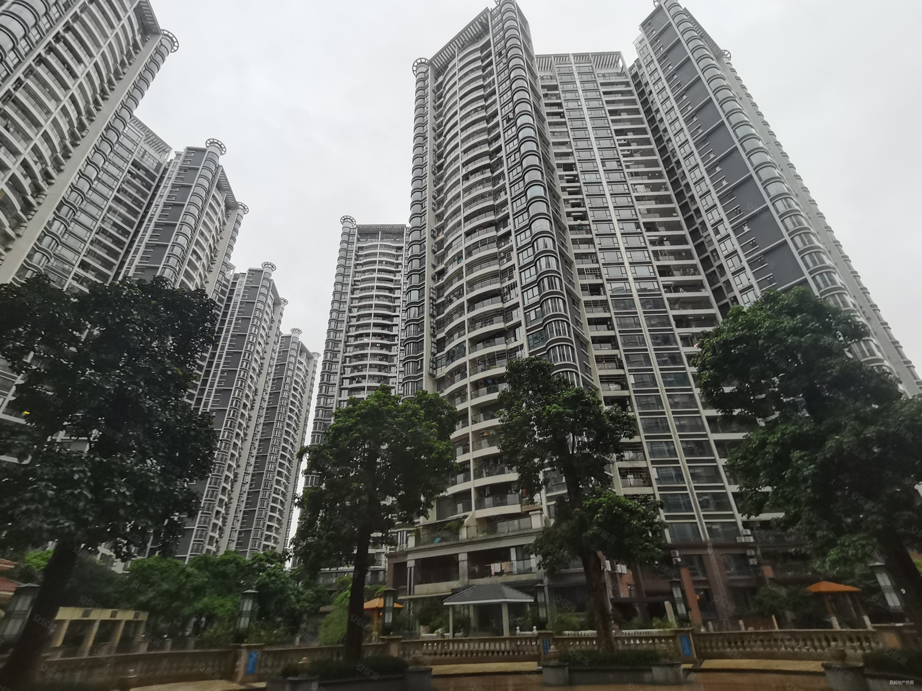 骏景湾品峰