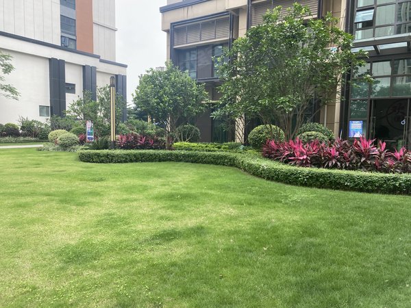 夏园一室电梯新小区 还有谁不喜欢呢 家电齐全 拎包入住,黄埔租房