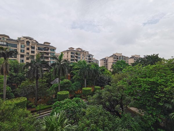 广州番禺广州雅居乐广州雅居乐花园上善若水笋靓租!