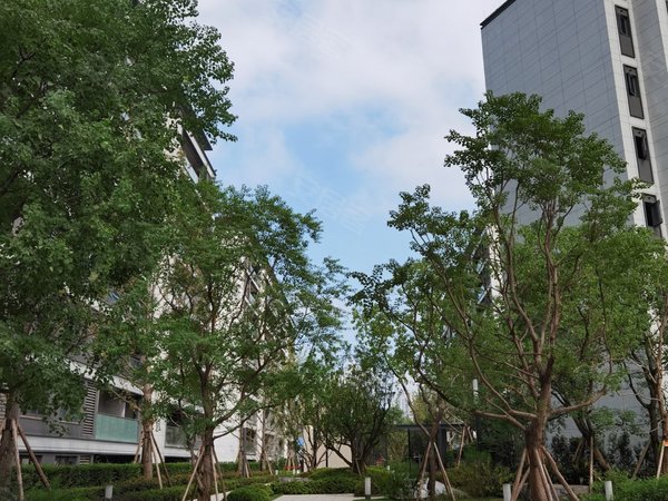 重庆南岸弹子石融创玖御南滨融创玖御南滨 3室2厅1卫出租房源真实图片