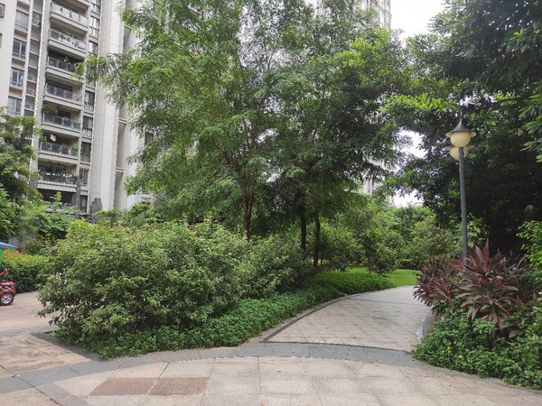 东莞虎门虎门公园地标广场天虹商圈地标广场楼上33平方1房单间出租