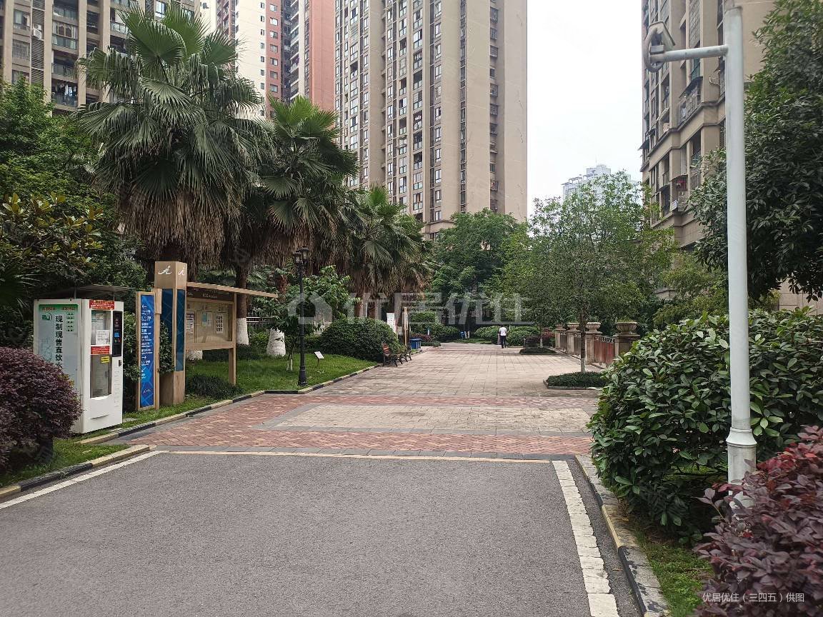 区政府广场旁金九南滨花园南滨路小学东津沱滨江公园