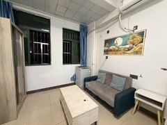 东莞黄江田美社区田美向南街自建房 1室0厅1卫  电梯房 精装修20平米出租房源真实图片