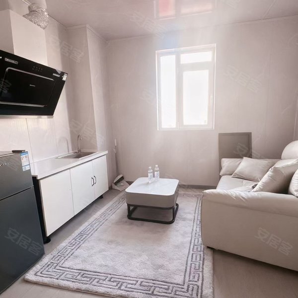 整租｜可月付可短租台东步行街万达利津路啤酒街利群商厦海泊桥都会里