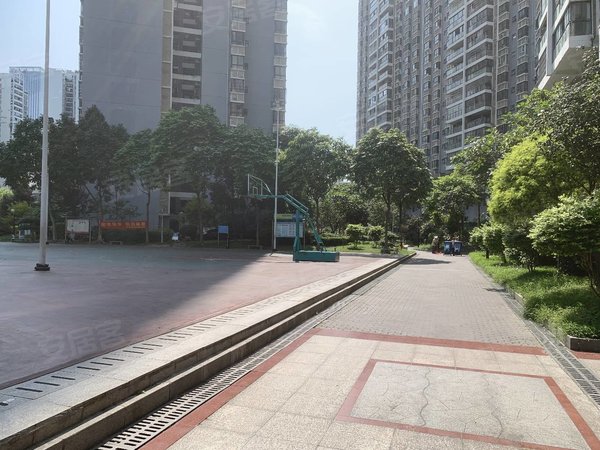 【多图】长湖景苑,长湖路租房,青秀万达 金湖 东葛长湖路地铁站 空房