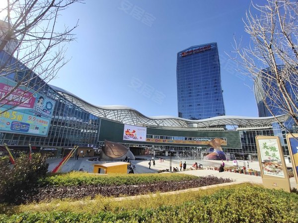 昆明官渡新螺蛳湾国际银座富康城 1室1卫拎包入住 我有钥匙 采光充足