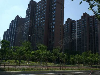 上海小区 奉贤小区 金汇小区 > 金碧苑