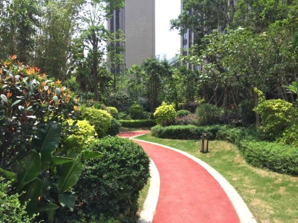 【多图】星光耀广场,城东租房,星光耀广场 高层两房家电家具配齐礼包