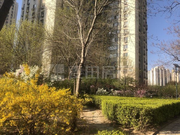 【多图】望京西园四区,望京租房,3室2厅 望京西园四区,朝阳租房-北京