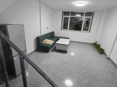 济宁嘉祥嘉祥城区大顺复式公寓一室一厅拎包入住出租房源真实图片