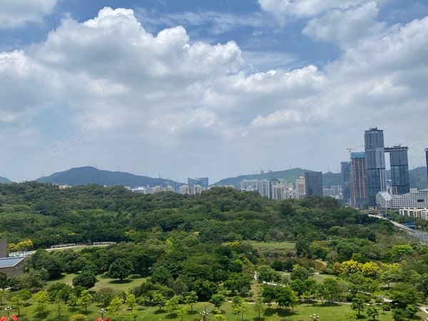 深圳福田莲花村莲花一村美莲大厦高层两房,租金6000,看房方便.