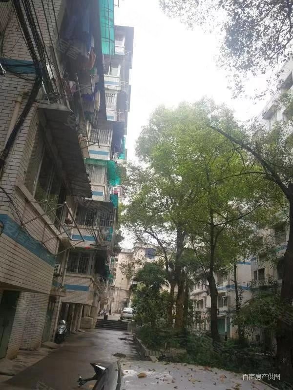 雀儿山39中雀山小苑步梯中层拎包入住