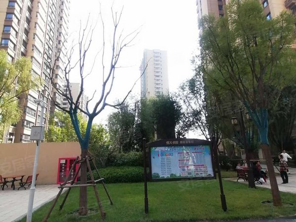 【多图】小东流天禧城,森林公园租房,兴华街文兴路 小东流天禧城