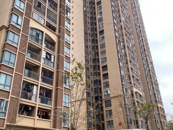 南宁兴宁东沟岭汇豪国际双地铁 狮山公园旁 汇豪国际 精装三房 拎包