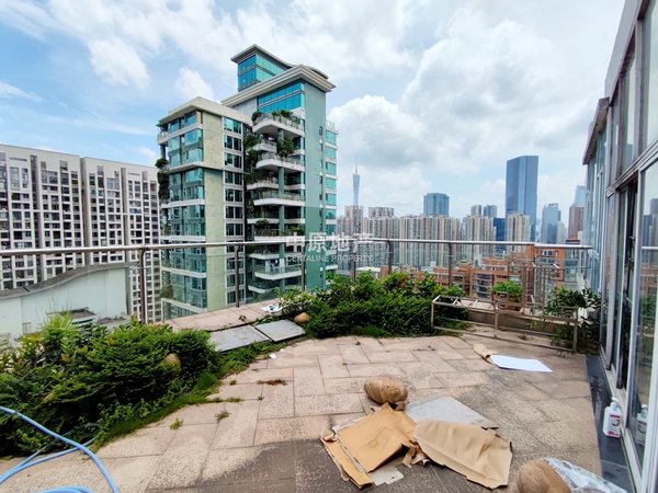 广州天河珠江新城东金碧华府金碧华府 复式户型 超大双花园阳台出租