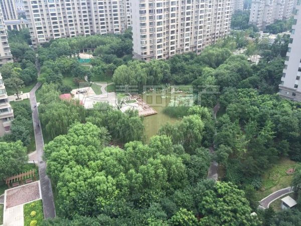 北京大兴亦庄西区中信新城两限区亦庄 整租 中信新城两限区 南北通透