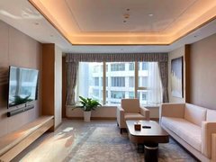北京朝阳大望路SKPS 北京佳兆业行政公寓 各种户型 年租月租均可物业直出租房源真实图片