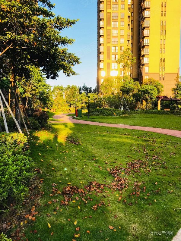 110得汇景御海蓝岸3房2卫朝南高层超d价