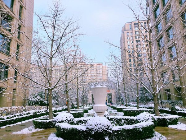 【多图】绿城北京诚园,南沙滩租房,南北通透 豪华装修 管家物业 私人