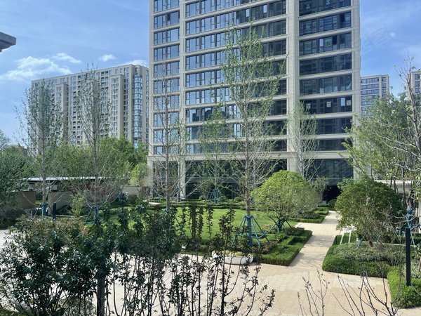 青岛李沧金水路绿城锦棠我有钥匙!新小区第1次出租!