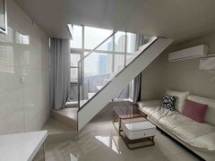 合肥政务奥体中心天鹅湖MOMA(商住楼) 1室1厅1卫  精装修48平米出租房源真实图片