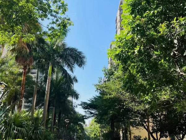 【多图】怀德峰景,福永租房,新上12号线怀德站 怀德峰景 精装两房