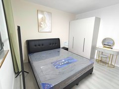 曹县曹县城区曹城城区银座附近精装单间 可短租拎包入住出租房源真实图片