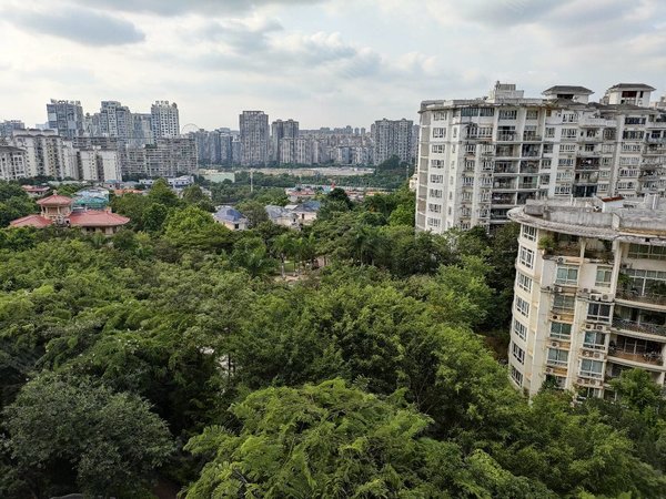 南宁青秀凤岭南中房翡翠园(一期)翡翠园大3房2厅2卫东盟商务区旁国际