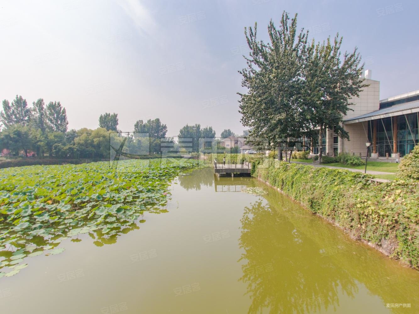 长岛澜桥4室3厅4卫371.55㎡南北3000万