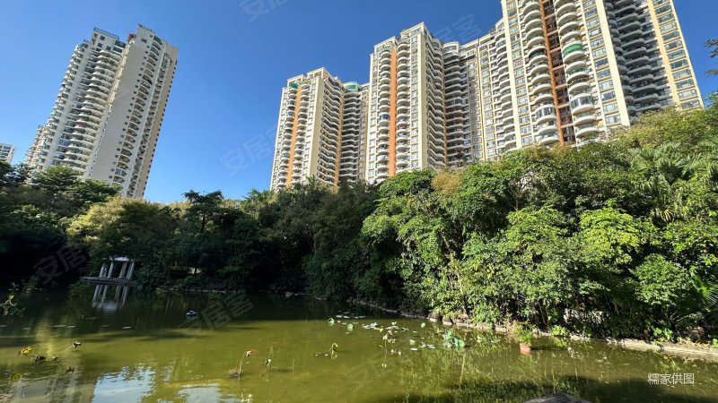 天鹅堡二期难得小高层9楼,共11层超大阳台美呆啦!