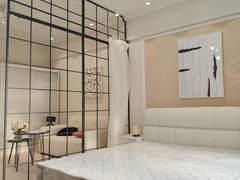 合肥包河卫岗铂金汉宫 南北通透 电梯房 通风好出租房源真实图片