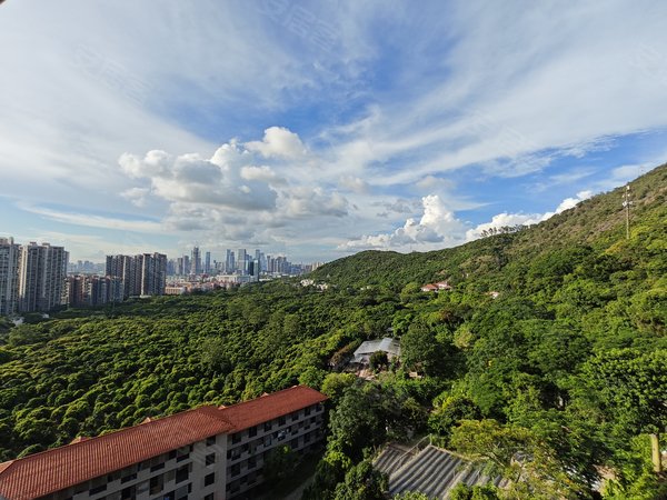 深圳南山前海大南山紫园(别墅)紫园精装上叠出租!南北通透!450平实用,4层全采光出租房源真实图片